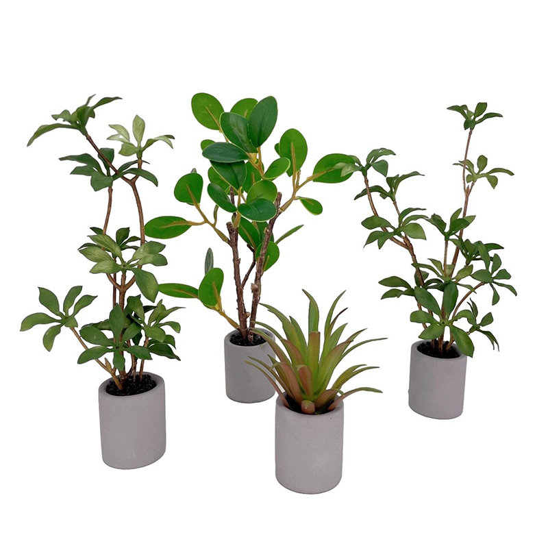 Bonsai Garden Miniature - 1:6 domek dla lalek miniaturowa roślina