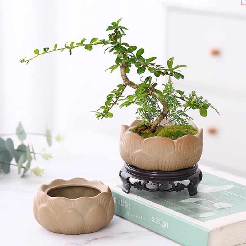 Bonsai Garden Europe - Gruba ceramika Lotos Zielona doniczka na