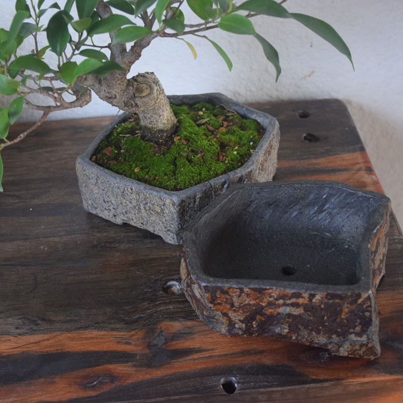 Donica z naturalnego kamienia  – Bonsai Garden Chinese Garden recenzja i cena