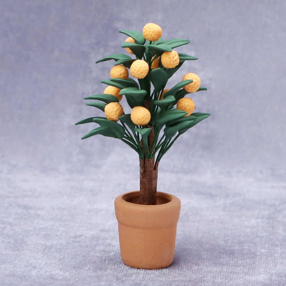 Miniaturowe drzewko kumkwatu w – Bonsai Garden Europe recenzja i cena
