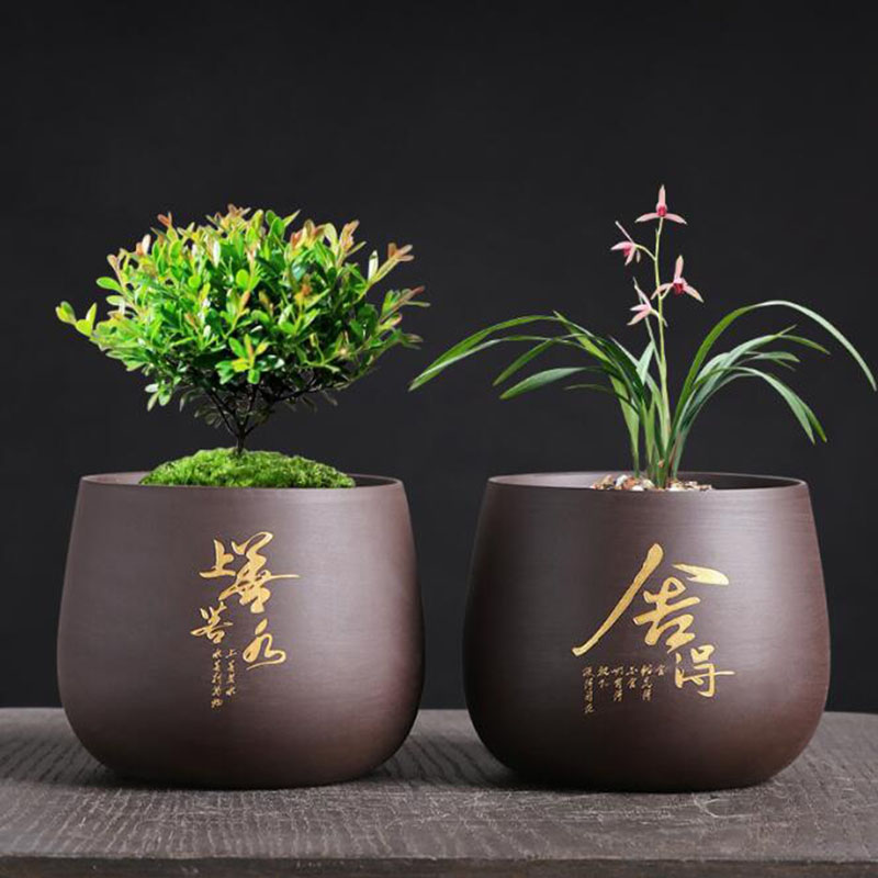 Chiński styl purpurowa glina d – Bonsai Garden Europe recenzja i cena