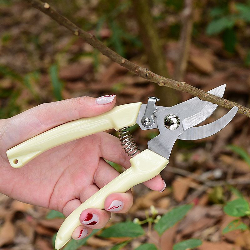 Oszczędzające Pracę Nożyce Ogr – Bonsai Garden Tree recenzja i cena