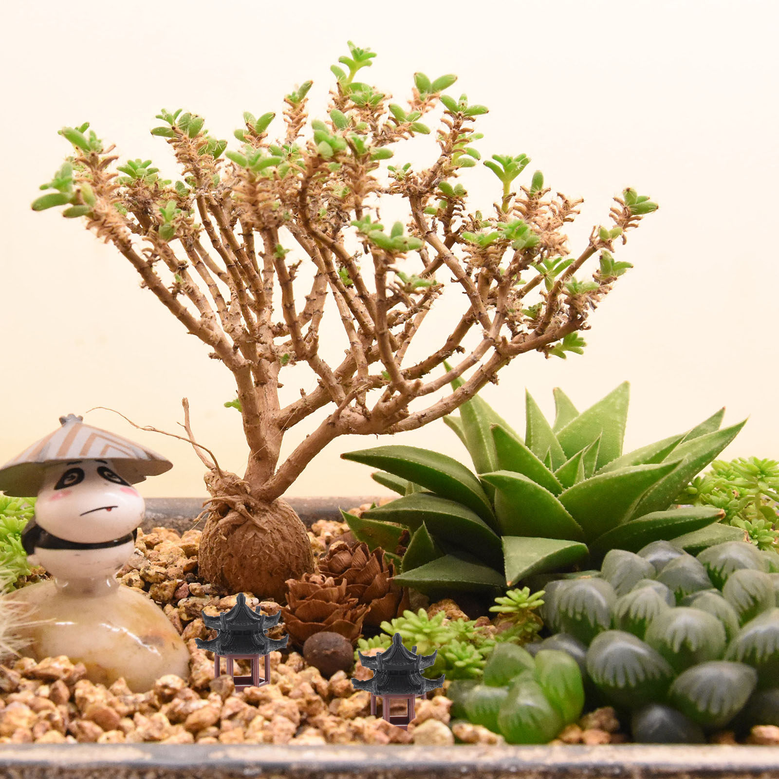 Wyjątkowa, miniaturowa statuet – Bonsai Garden Set Up recenzja i cena