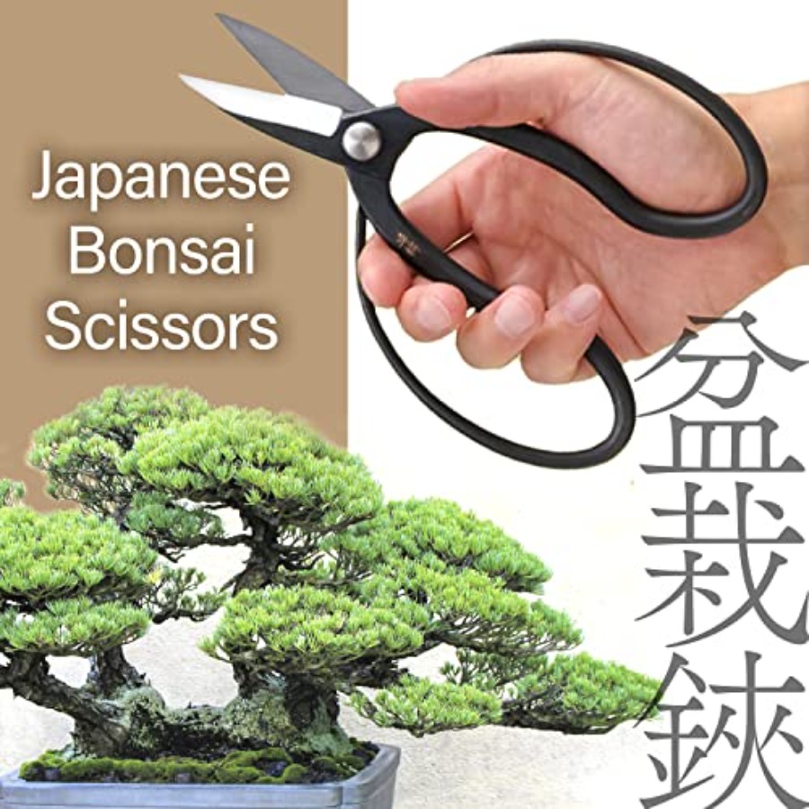 Japońskie nożyce do bonsai Sui – Bonsai Garden In Japan recenzja i cena