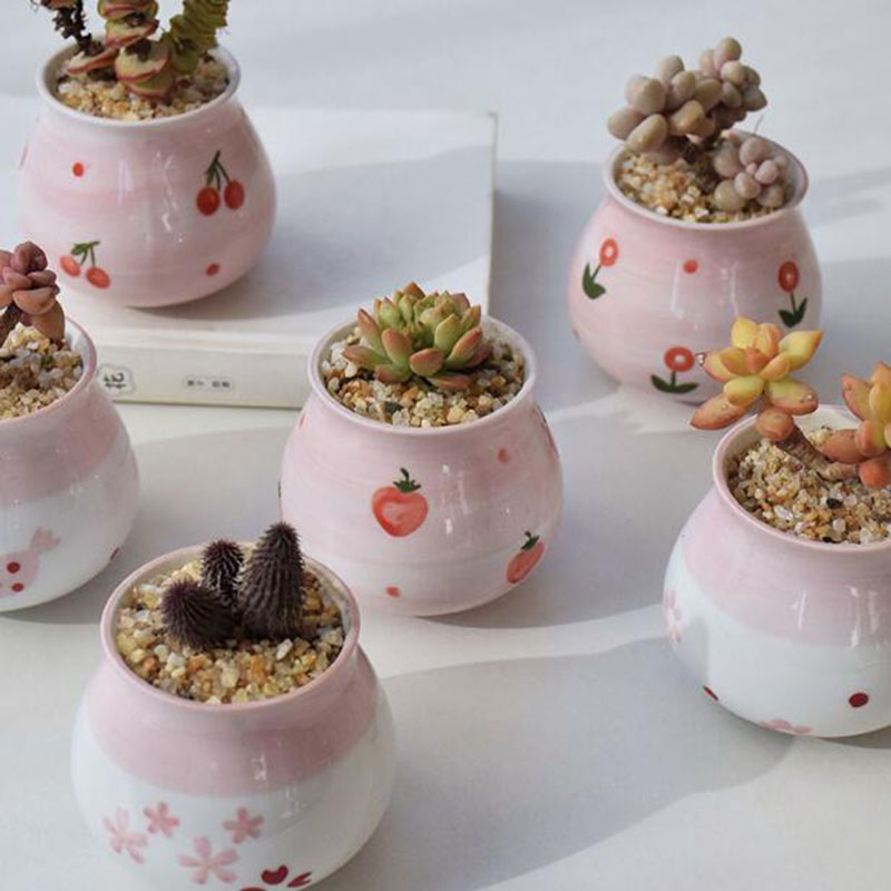 Śliczne różowe dziewczyny serc – Bonsai Garden Europe recenzja i cena
