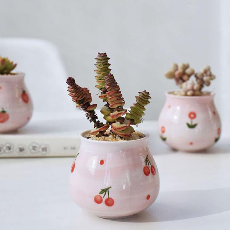 Śliczne różowe dziewczyny serc – Bonsai Garden Europe recenzja i cena