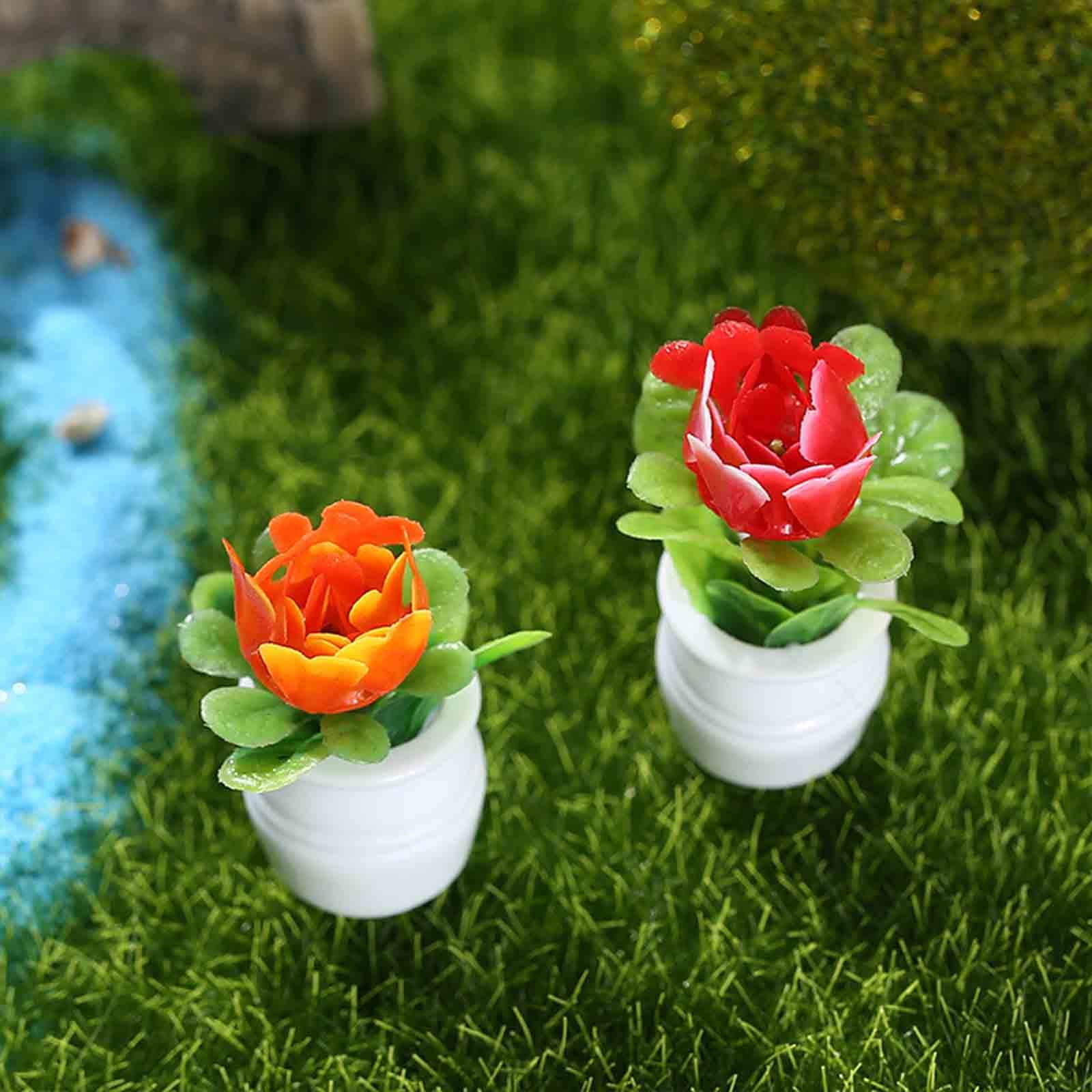 5 szt. Miniaturowe doniczki do – Bonsai Garden Europe recenzja i cena