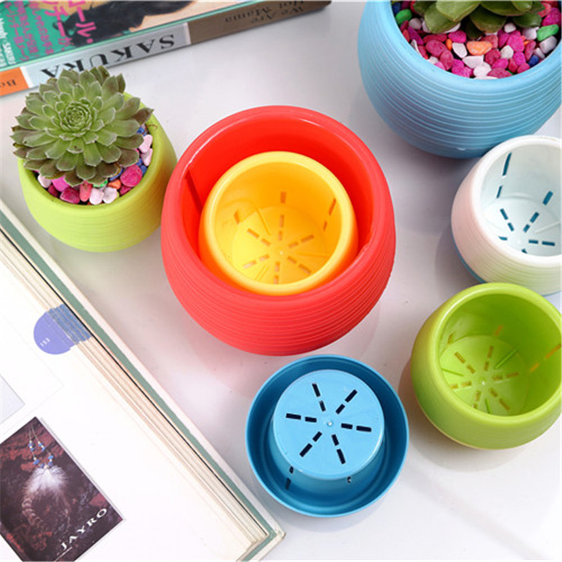 Mini plastikowe doniczki ogrod – Bonsai Garden Europe recenzja i cena