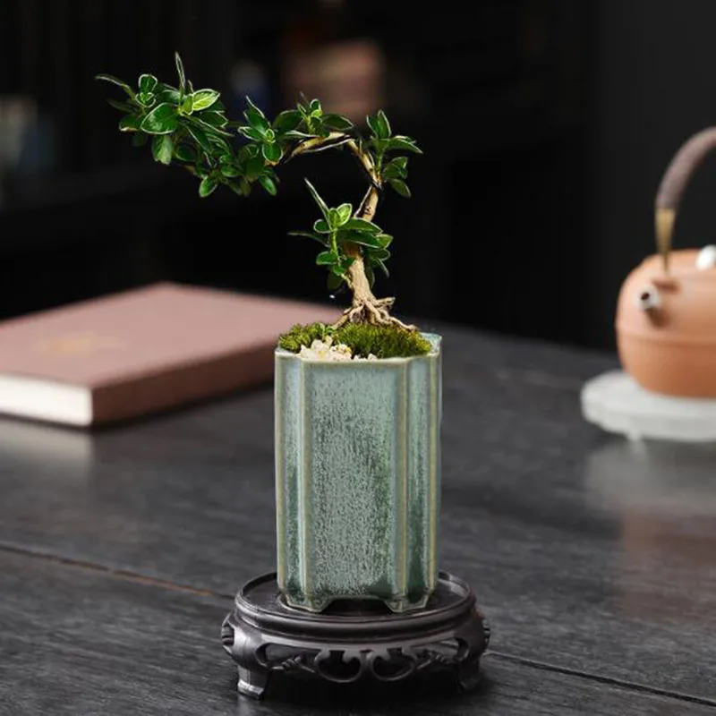 Porcelanowa kwadratowa doniczk – Bonsai Garden Europe recenzja i cena